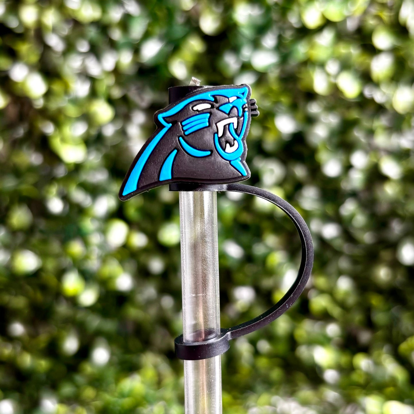 Panthers Straw Topper