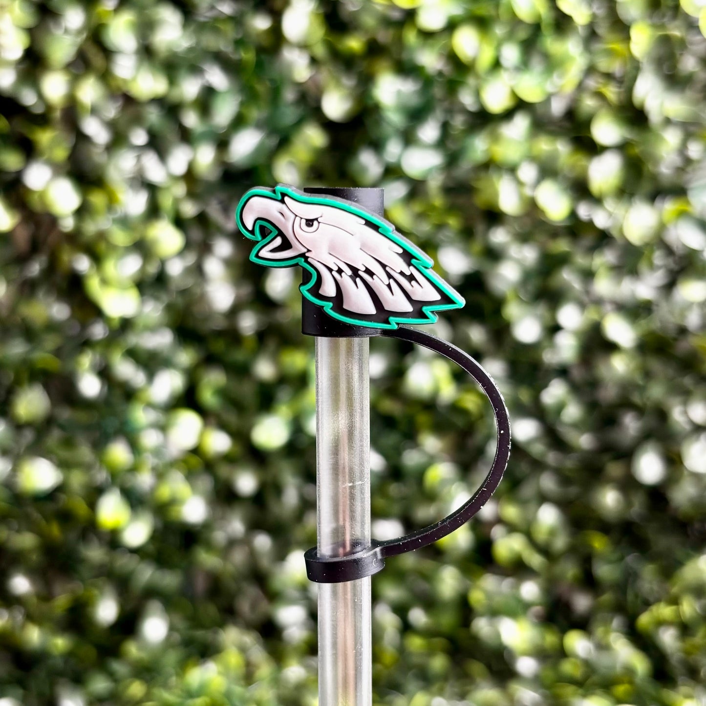 Eagles Straw Topper